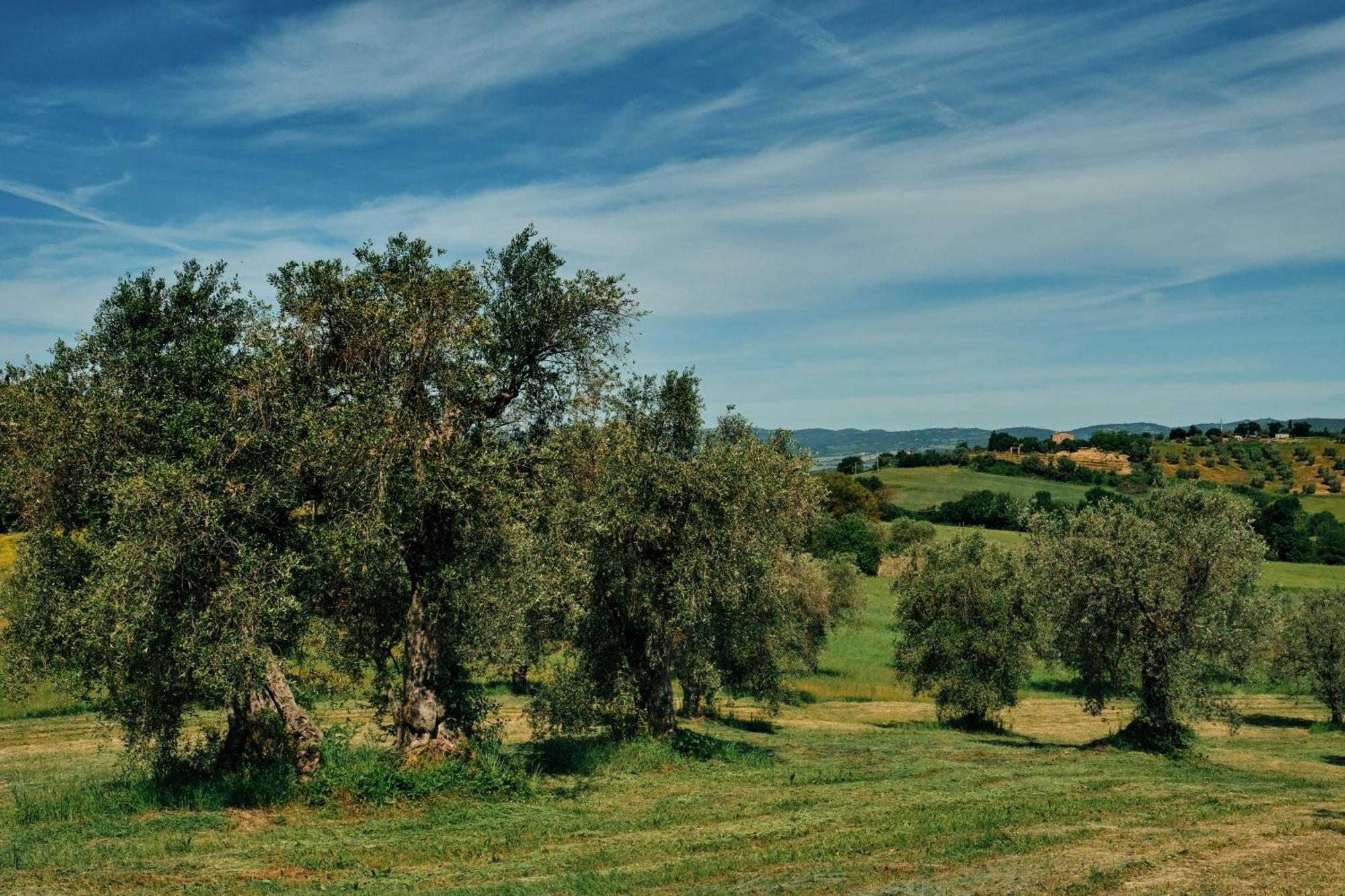 8380 Agriturismo Il Saragiolo Manciano Kültér fotó