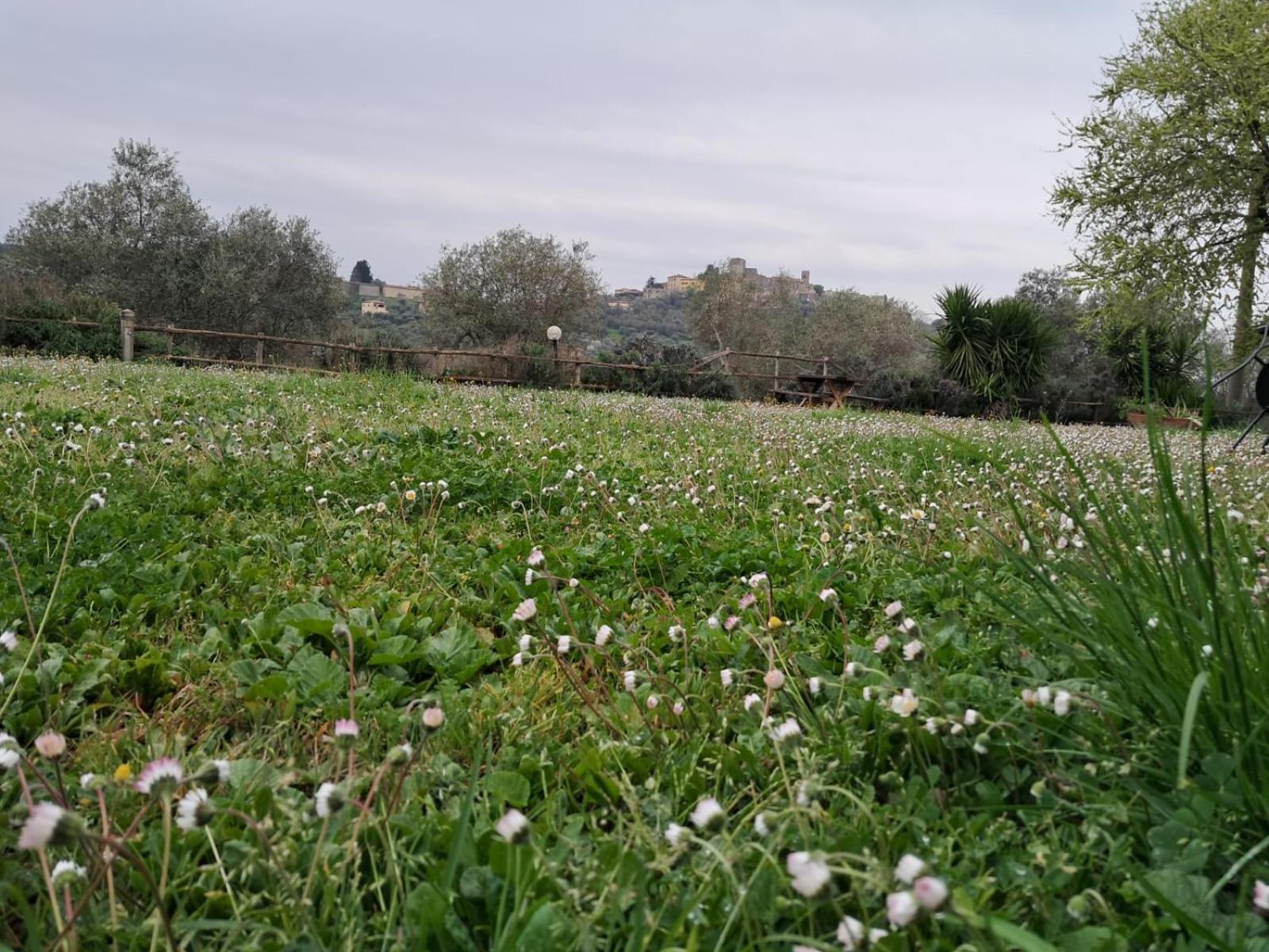 8380 Agriturismo Il Saragiolo Manciano Kültér fotó